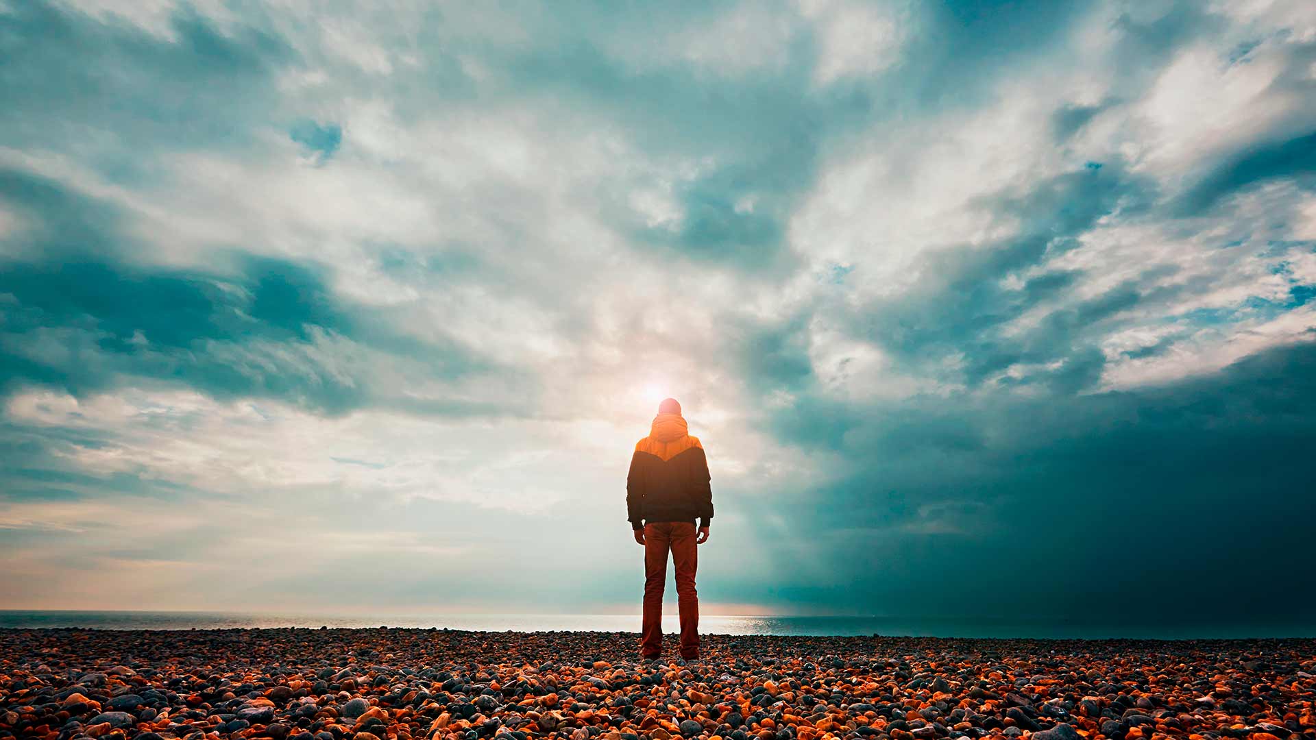 “El que alguien toque mi vida es un privilegio, tocar la vida de alguien es un honor, pero el ayudar a que otros toquen sus propias vidas es un placer indescriptible.” -Sherezada